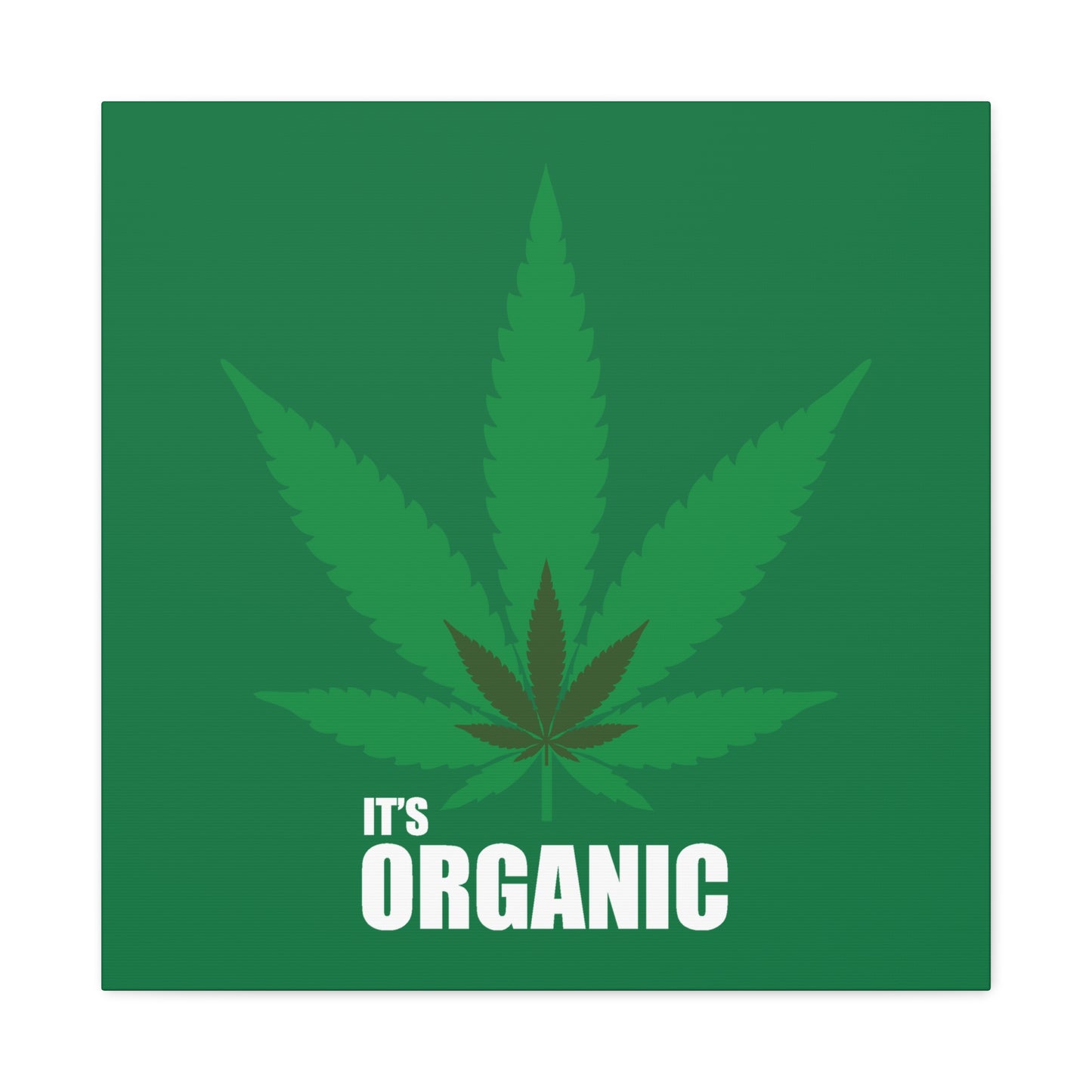 Organic Cannabis Leaf Canvas Art - Eco-Friendly Wall Décor