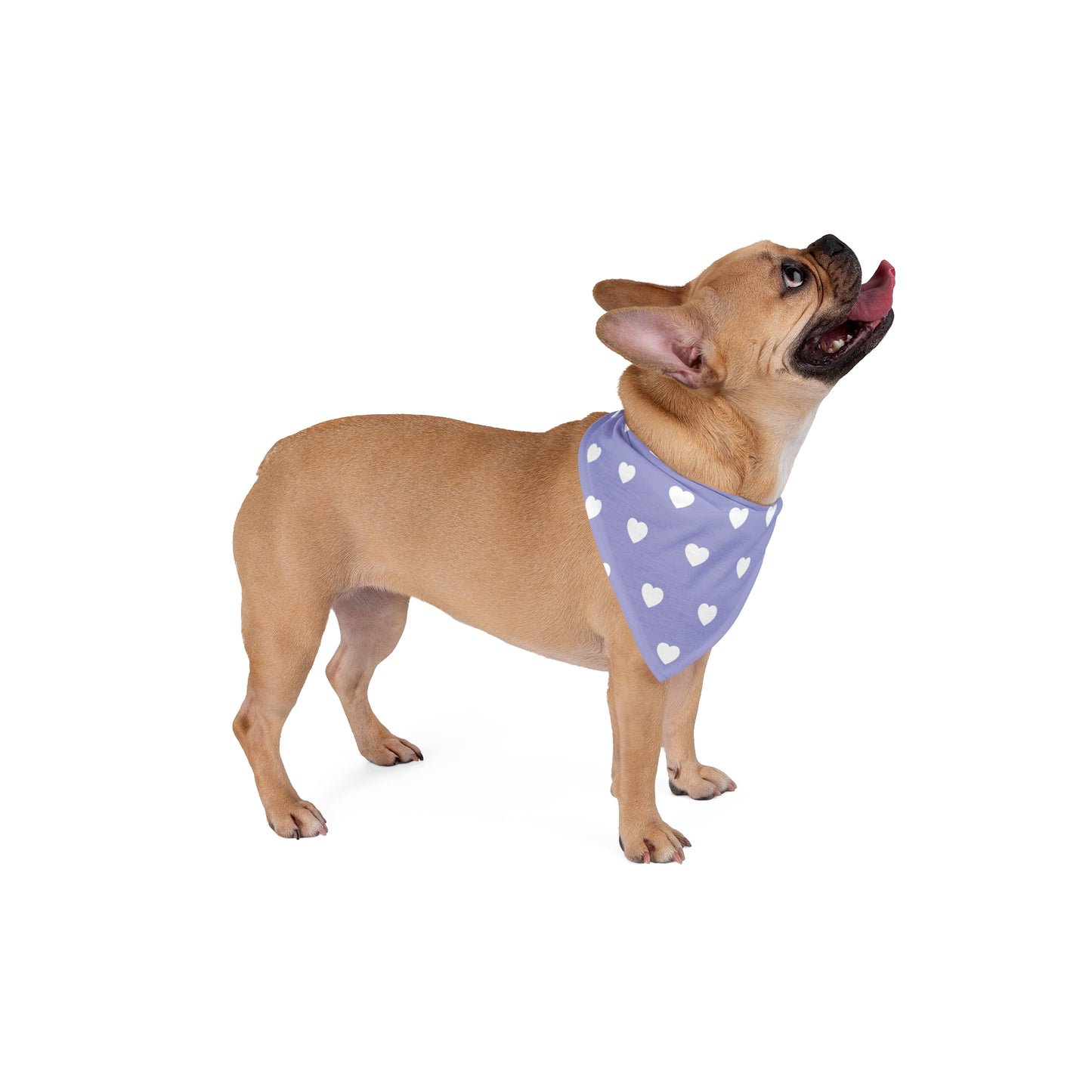 Love Heart Pattern Pet Bandana - Cute Puppy Accessory