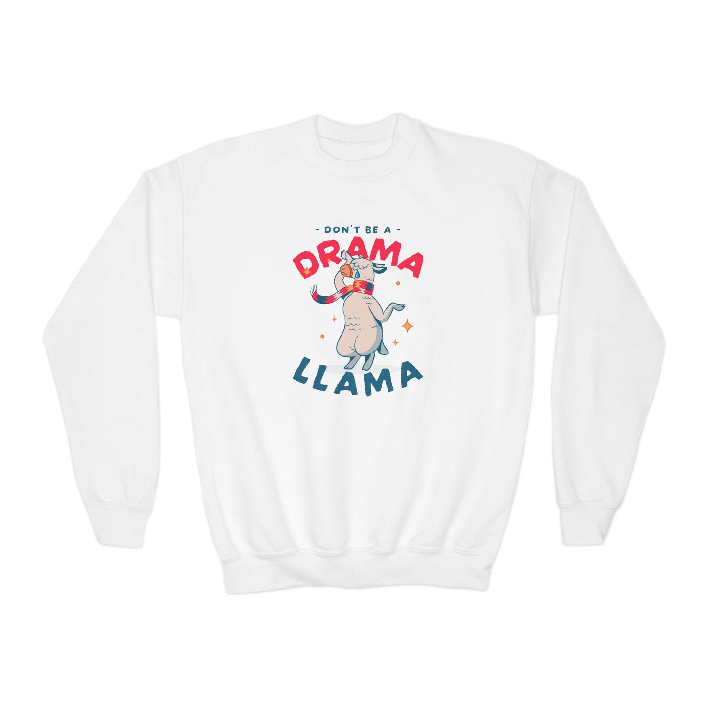 Funny Youth Sweatshirt – Kids Pullover