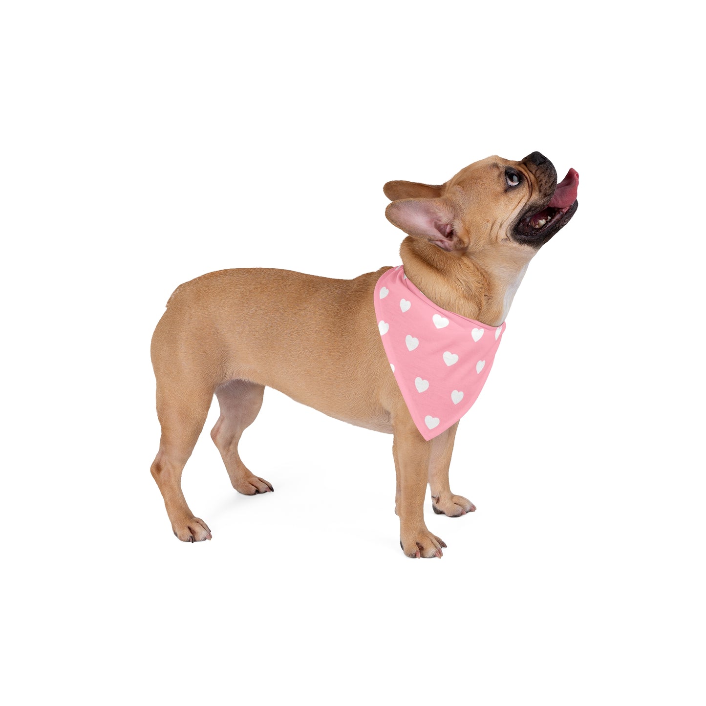 Love Heart Pattern Pet Bandana - Cute Puppy Accessory
