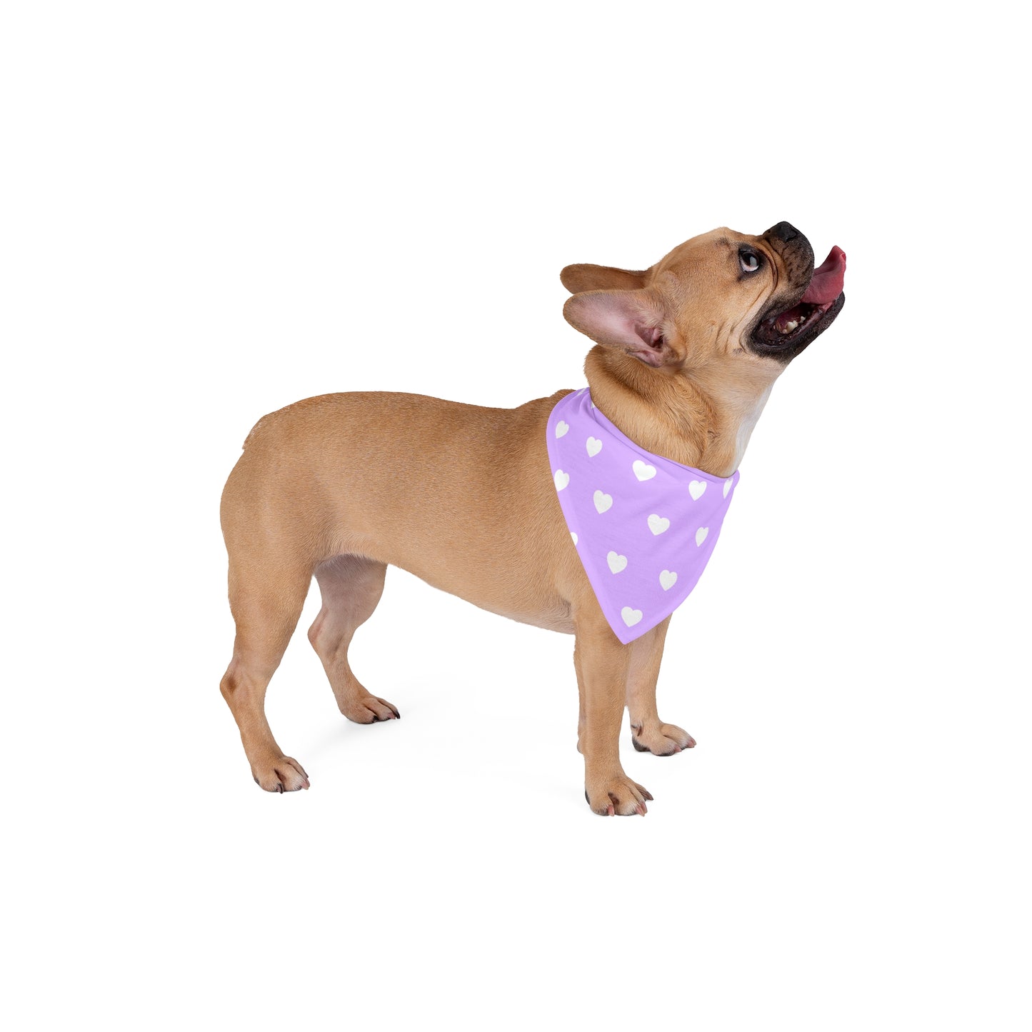 Love Heart Pattern Pet Bandana - Cute Puppy Accessory