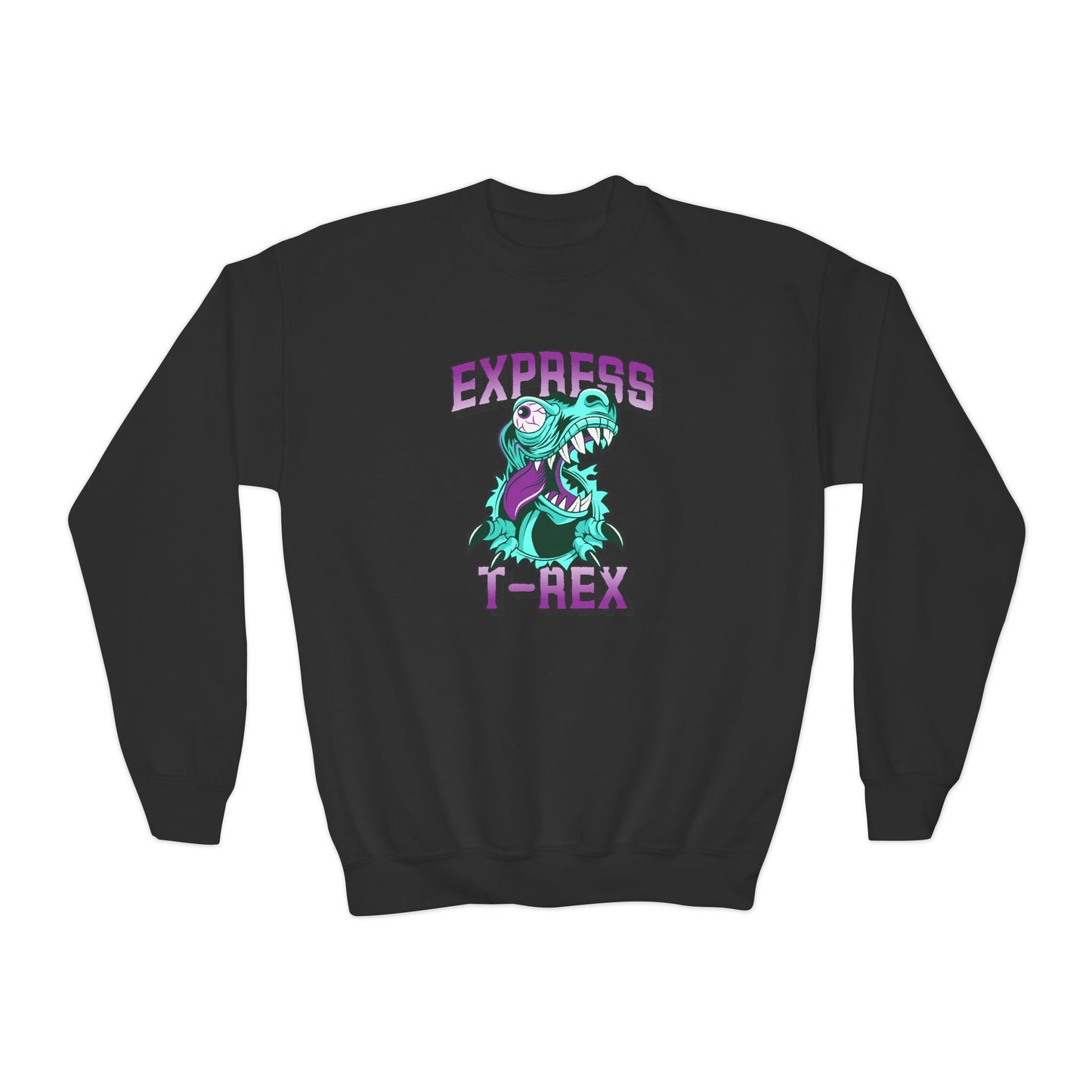 Youth Sweatshirt for Boy Express T-Rex - Fun Dinosaur Graphic