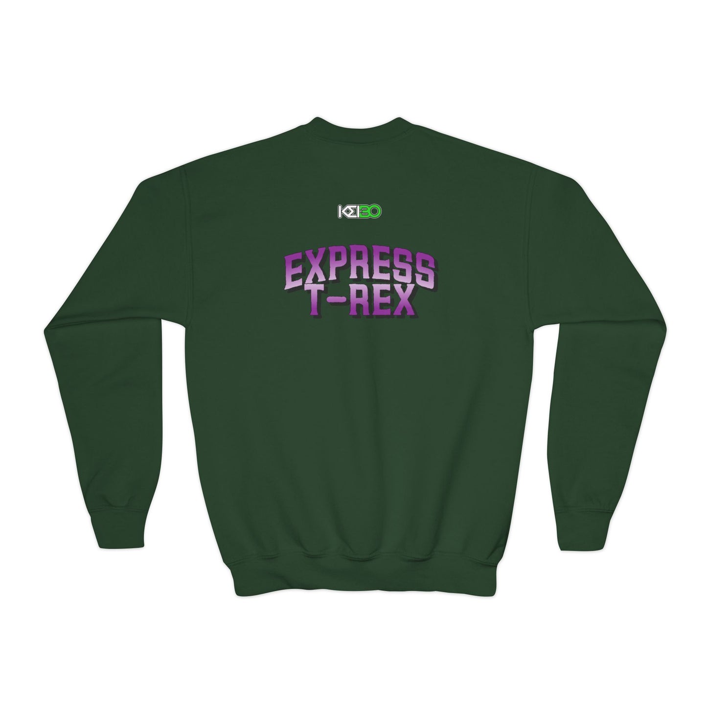 Youth Sweatshirt for Girl Express T-Rex - Fun Dinosaur Graphic