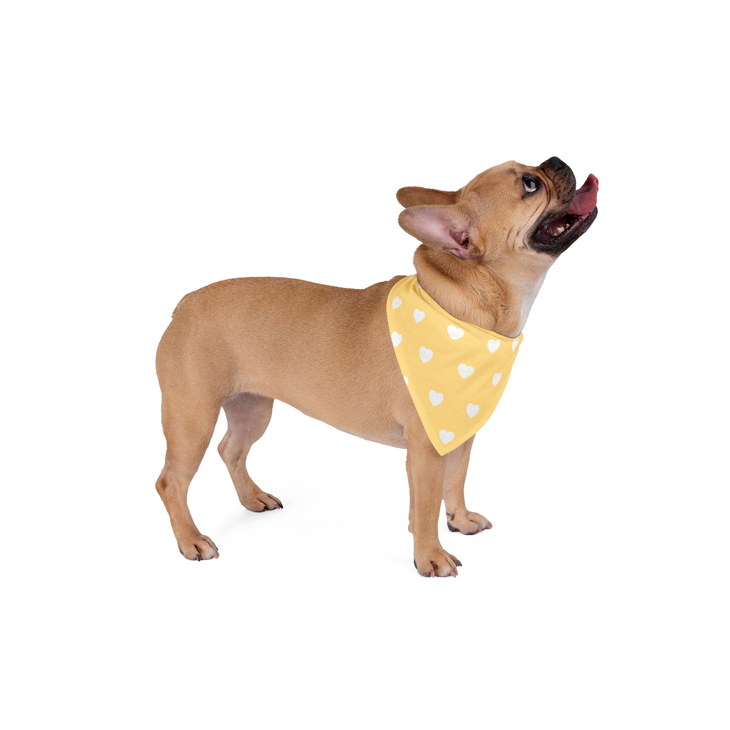 Love Heart Pattern Pet Bandana - Cute Puppy Accessory