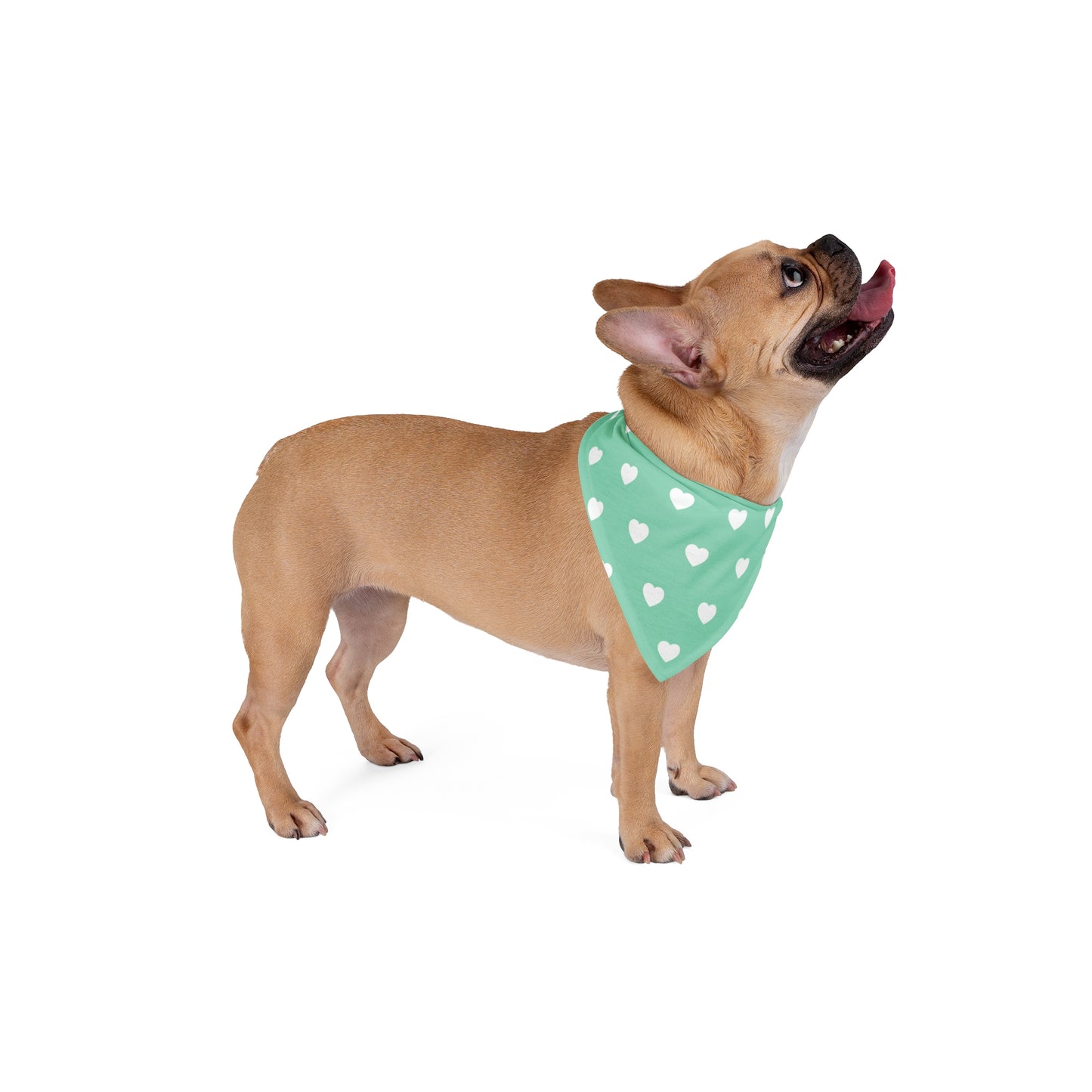 Love Heart Pattern Pet Bandana - Cute Puppy Accessory