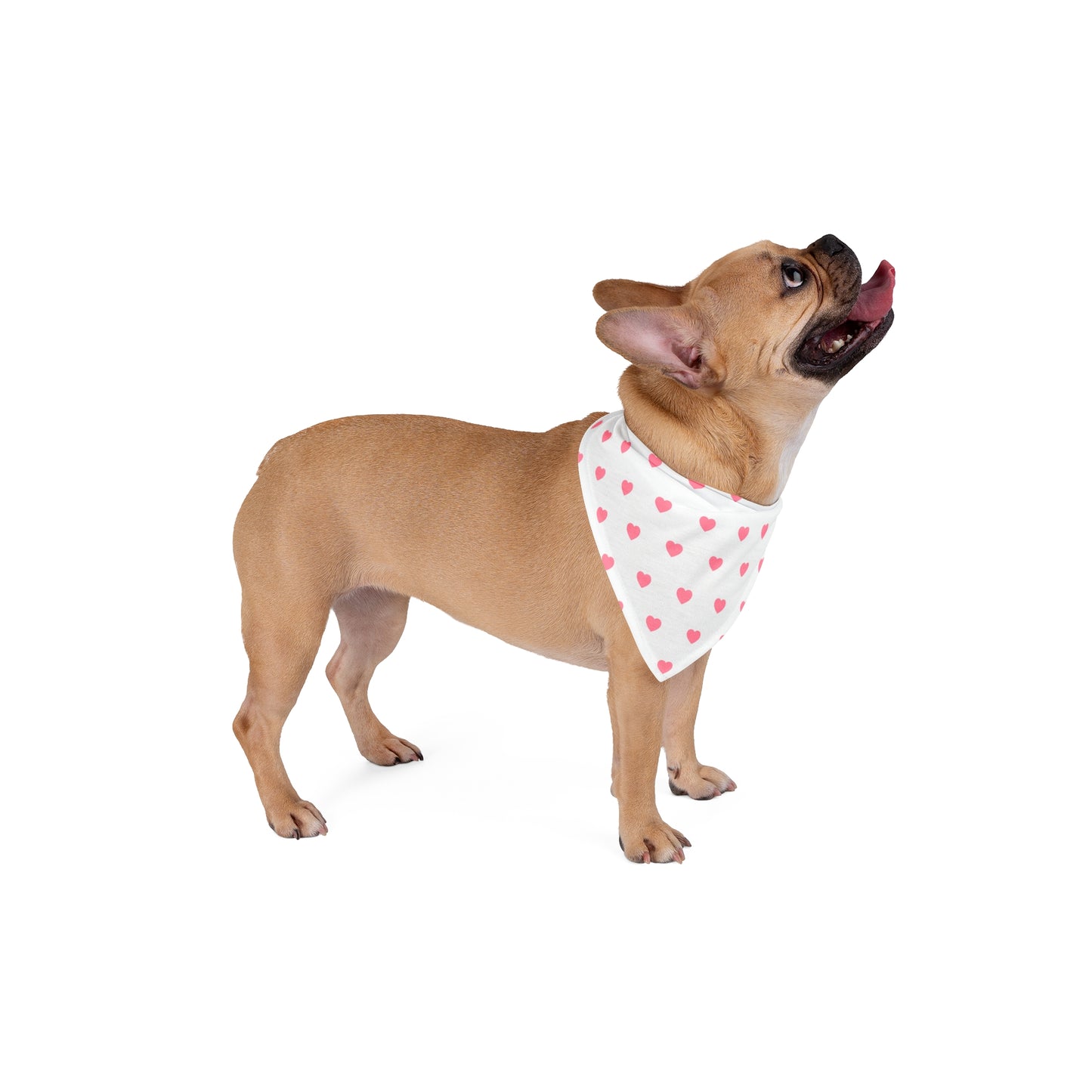 Love Heart Pattern Pet Bandana - Cute Puppy Accessory