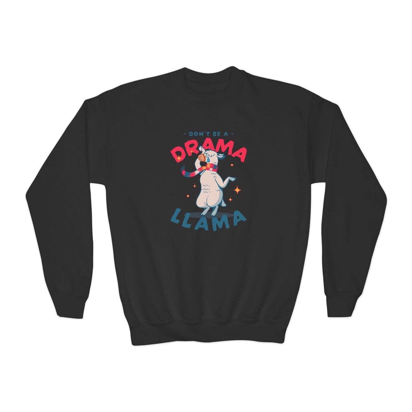 Funny Youth Sweatshirt – Kids Pullover