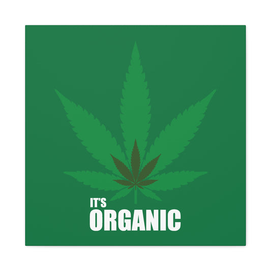 Organic Cannabis Leaf Canvas Art - Eco-Friendly Wall Décor
