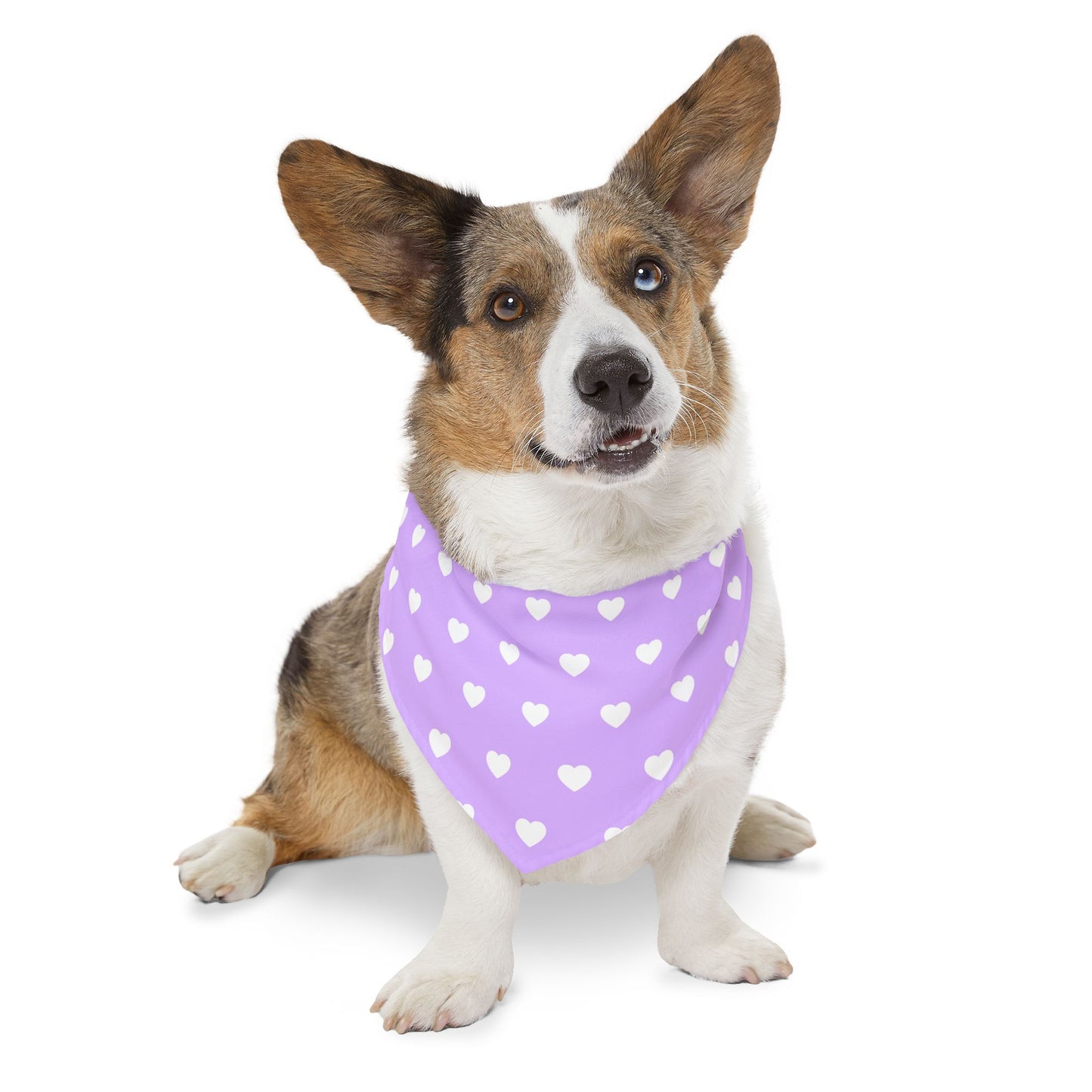 Love Heart Pattern Pet Bandana Collar for Dogs