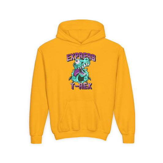 Youth T-Rex Express Hoodie for Boys - Fun & Comfy for Kids