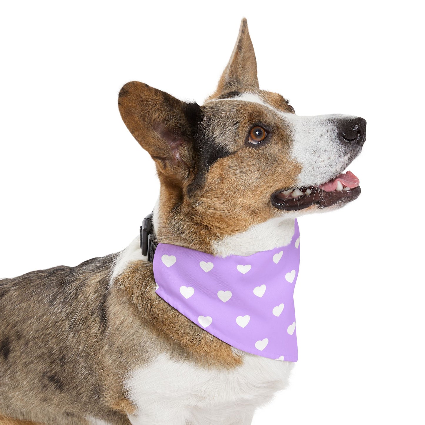 Love Heart Pattern Pet Bandana Collar for Dogs