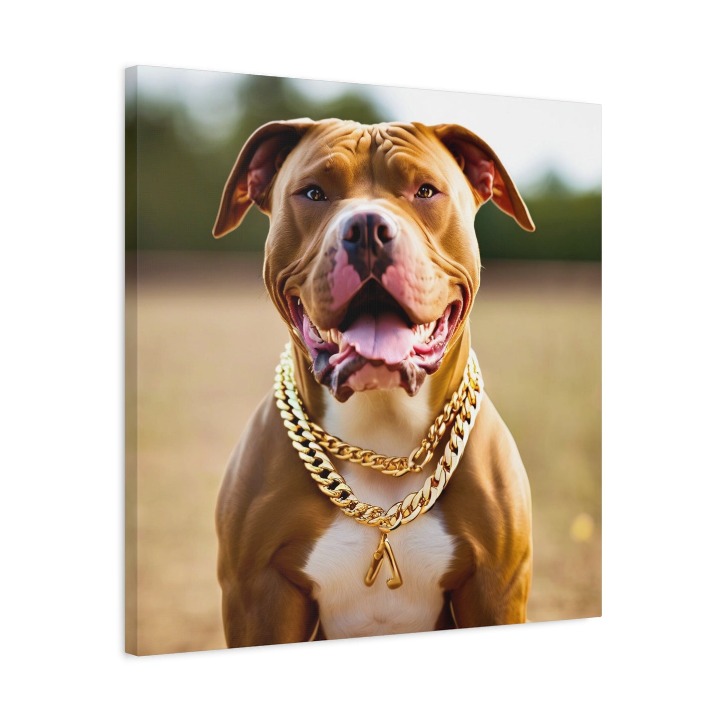 Pitbull with gold chain Canvas Wall Art - 12x12" Stretched Matte Print