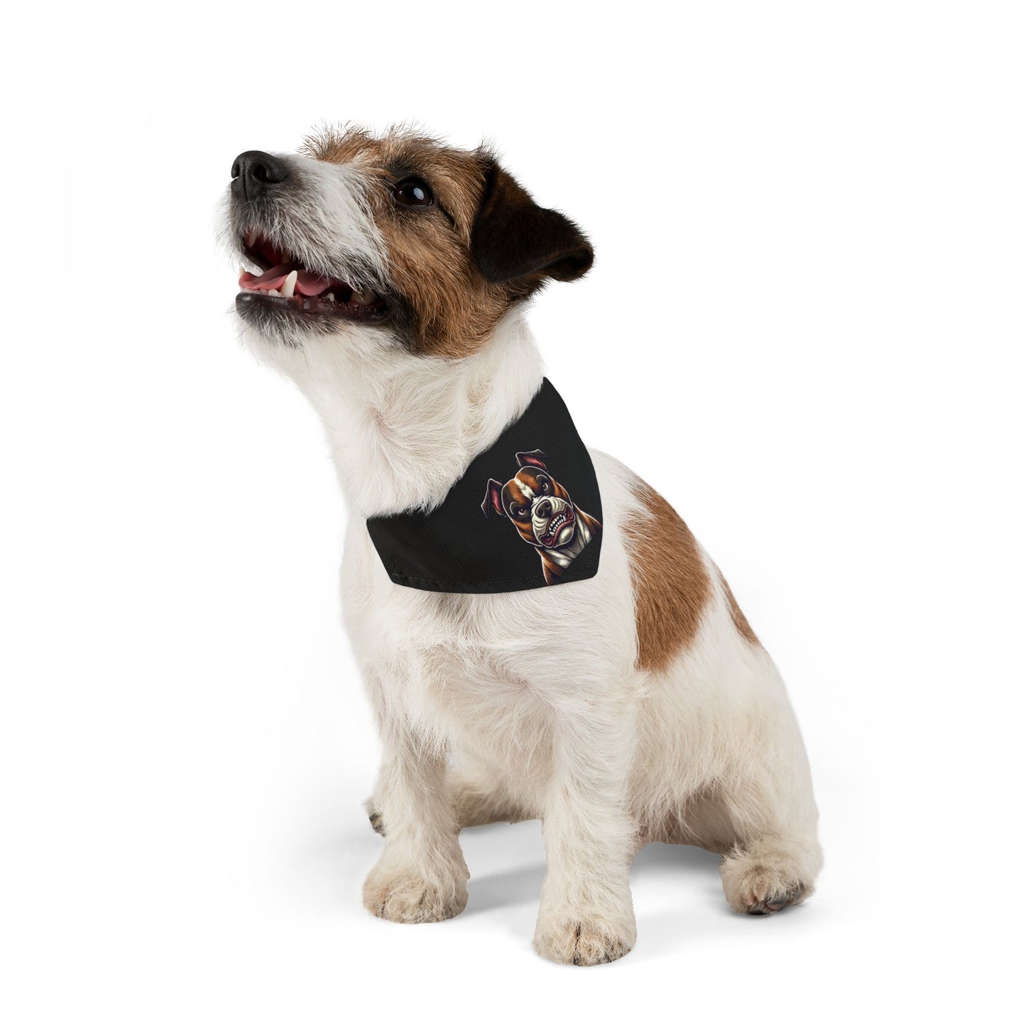 Pit Bull Bandana Collar for Dogs | Stylish Animal Accessory