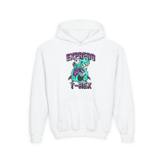 Youth T-Rex Express Hoodie for Gir - Fun & Comfy for Kids