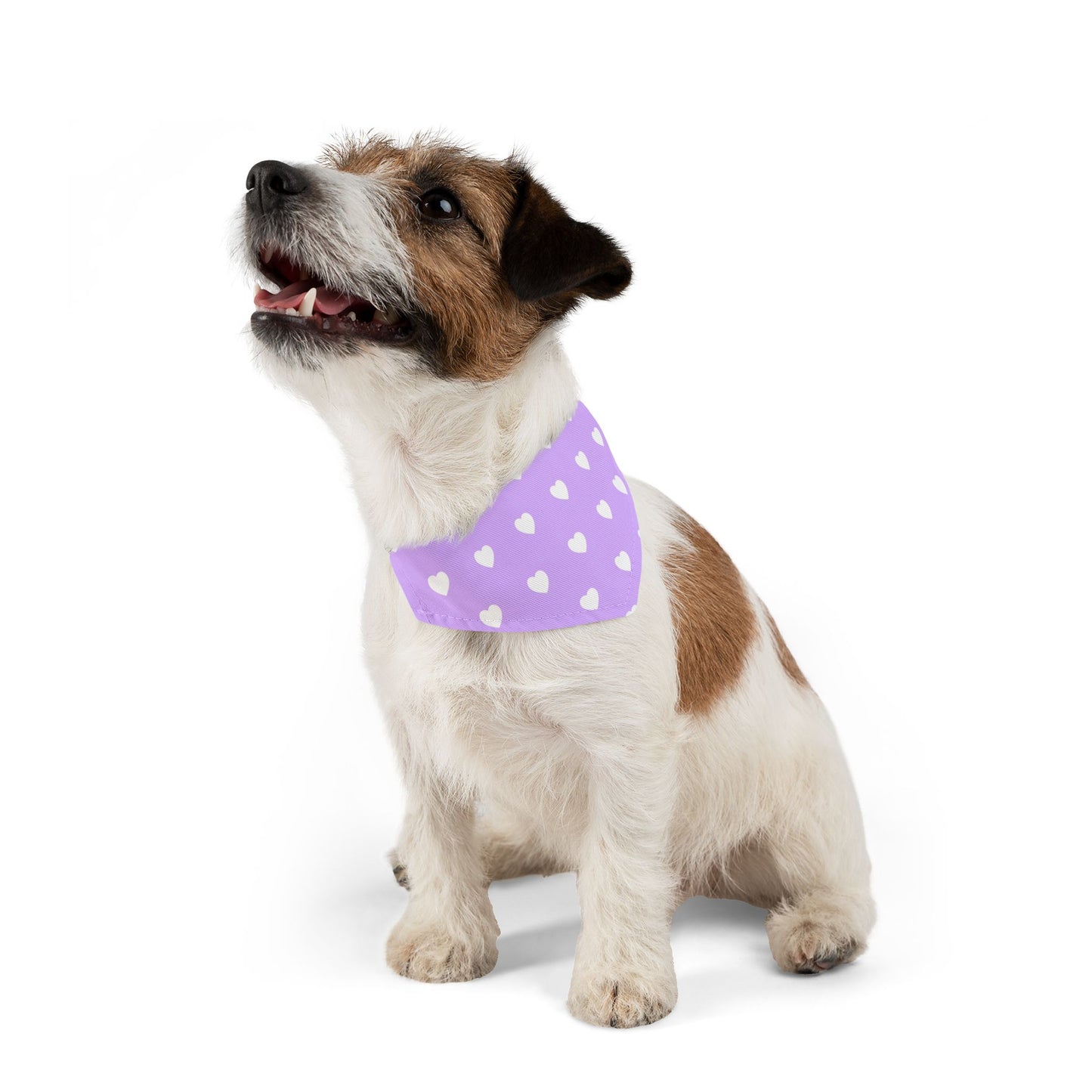 Love Heart Pattern Pet Bandana Collar for Dogs
