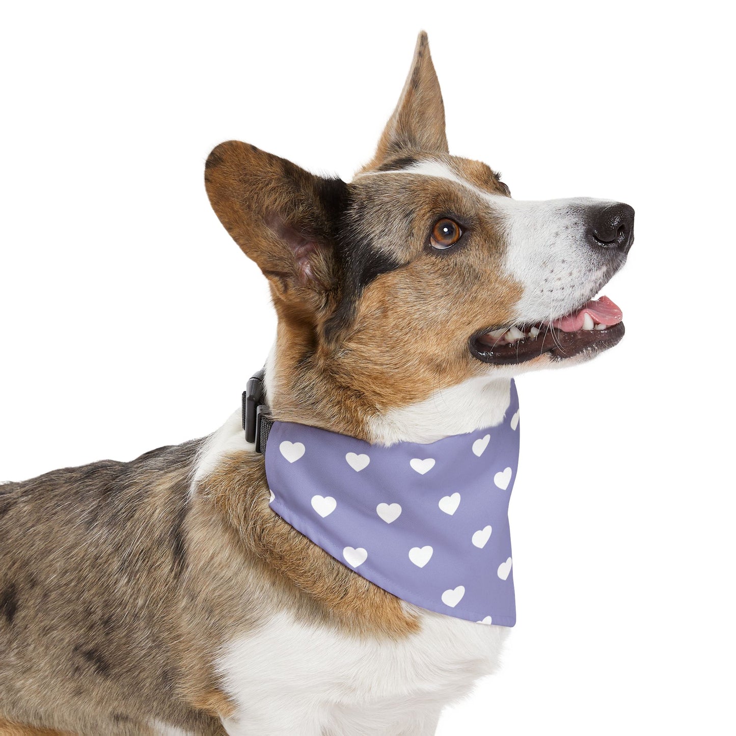 Love Heart Pattern Pet Bandana Collar for Dogs
