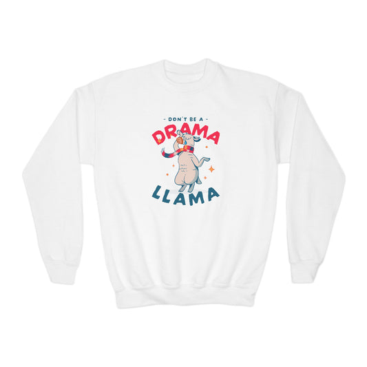 Funny Youth Sweatshirt – Kids Pullover
