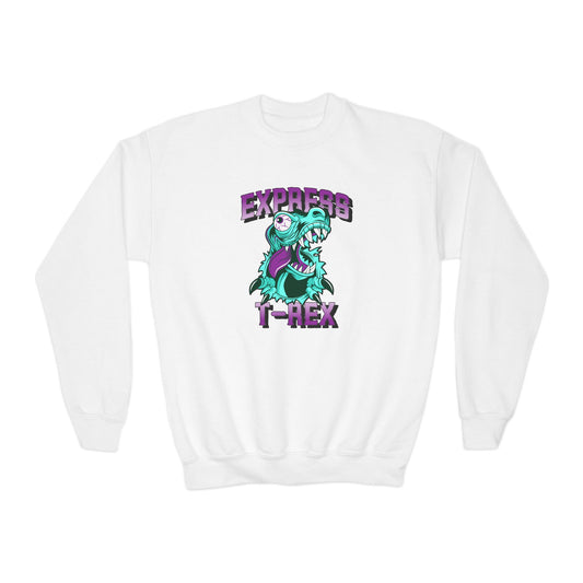 Youth Sweatshirt for Boy Express T-Rex - Fun Dinosaur Graphic