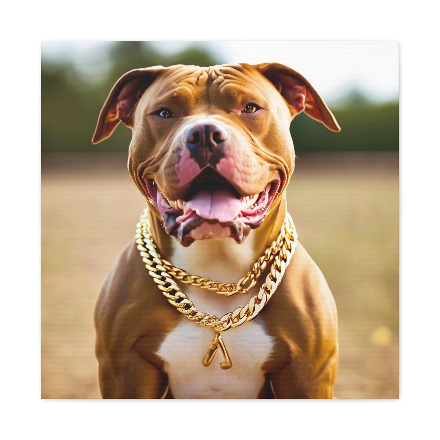 Pitbull with gold chain Canvas Wall Art - 12x12" Stretched Matte Print