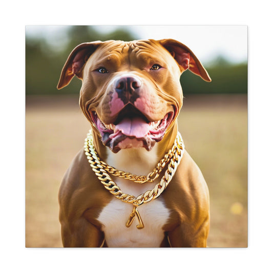 Pitbull with gold chain Canvas Wall Art - 12x12" Stretched Matte Print
