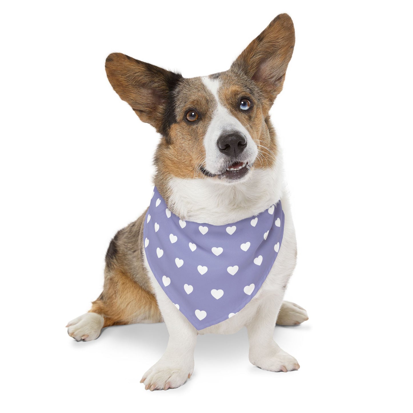 Love Heart Pattern Pet Bandana Collar for Dogs